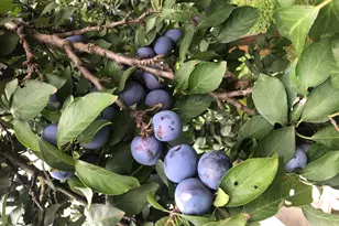 4748 Blaisdell Ave, Minneapolis, MN 55419 - Photo 37