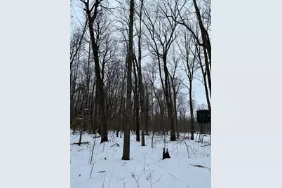 Xxx Merlin Road, Hillman, MN 56338 - Photo 7