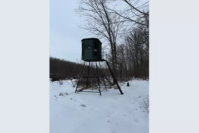 Xxx Merlin Road, Hillman, MN 56338 - Photo 15