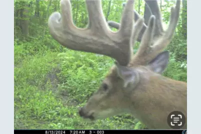 Xxx Merlin Road, Hillman, MN 56338 - Photo 17