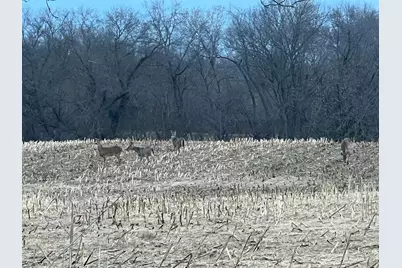 0000 160th Avenue, Maiden Rock, WI 54750 - Photo 9