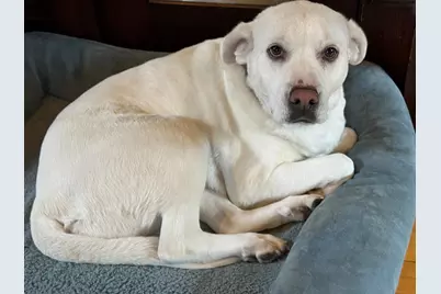 3041 12th Avenue S, Minneapolis, MN 55407 - Photo 63