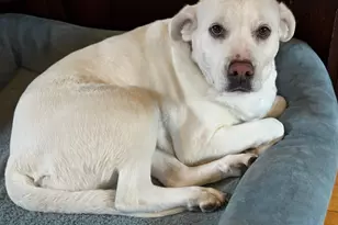 3041 12th Ave S, Minneapolis, MN 55407 - Photo 63