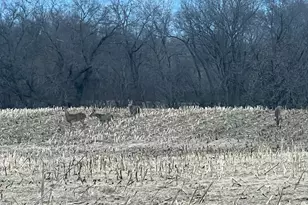 000 160th Ave, Maiden Rock, WI 54750 - Photo 1