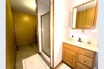 47086 Schoolhouse Drive, Becida, MN 56678 - Photo 49