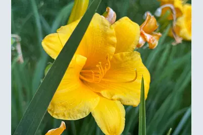 47086 Schoolhouse Drive, Becida, MN 56678 - Photo 65