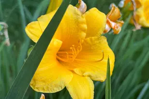 47086 Schoolhouse Dr, Becida, MN 56678 - Photo 65