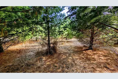 23443 75th Street, New Auburn, WI 54757 - Photo 49