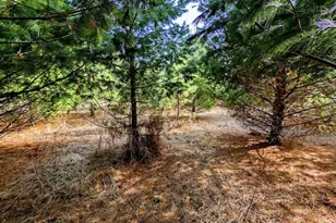 23443 75th St, New Auburn, WI 54757 - Photo 49