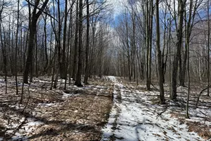 41273 Swede Alley, Hinckley, MN 55037 - Photo 61