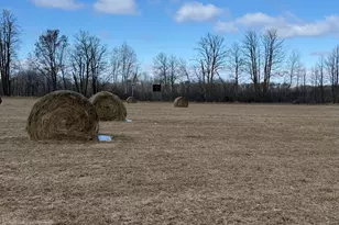 41273 Swede Alley, Hinckley, MN 55037 - Photo 69