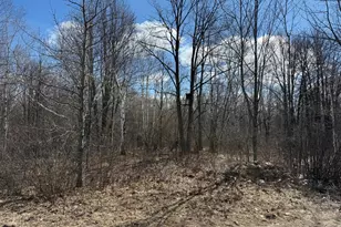 41273 Swede Alley, Hinckley, MN 55037 - Photo 59