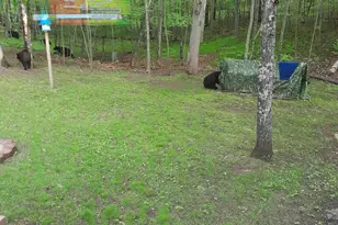 28671 Chalet Rd, Danbury, WI 54830 - Photo 37