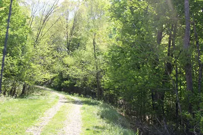 31127 Levi Path, Lake City, MN 55041 - Photo 85