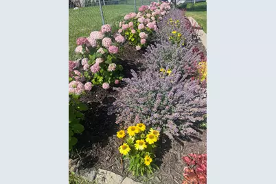 3974 Orchardview Lane NW, Rochester, MN 55901 - Photo 53