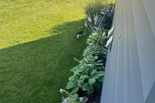 3974 Orchardview Ln NW, Rochester, MN 55901 - Photo 55