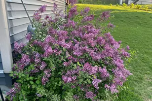 3974 Orchardview Ln NW, Rochester, MN 55901 - Photo 51