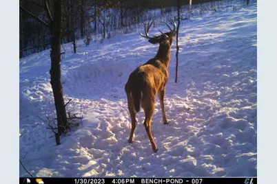 N35194 Przybilla Lane, Independence, WI 54747 - Photo 29