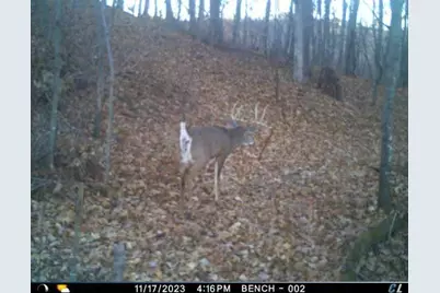 N35194 Przybilla Lane, Independence, WI 54747 - Photo 33