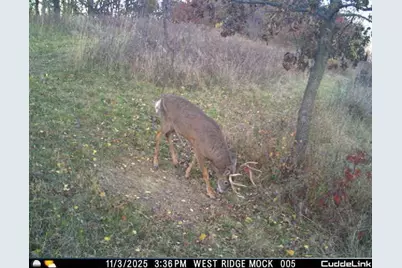 N35194 Przybilla Lane, Independence, WI 54747 - Photo 31