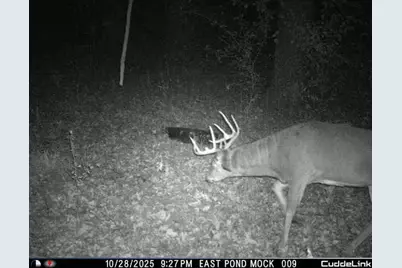 N35194 Przybilla Lane, Independence, WI 54747 - Photo 59