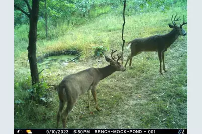 N35194 Przybilla Lane, Independence, WI 54747 - Photo 61