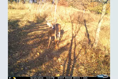 N35194 Przybilla Lane, Independence, WI 54747 - Photo 39