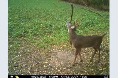 N35194 Przybilla Lane, Independence, WI 54747 - Photo 53