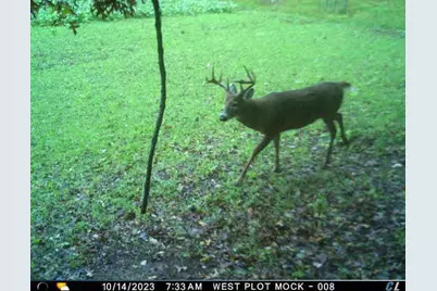 N35194 Przybilla Lane, Independence, WI 54747 - Photo 51