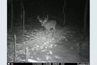 N35194 Przybilla Lane, Independence, WI 54747 - Photo 57