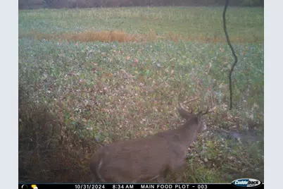 N35194 Przybilla Lane, Independence, WI 54747 - Photo 37