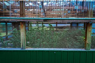 38700 Osprey Trail, Laporte, MN 56461 - Photo 29