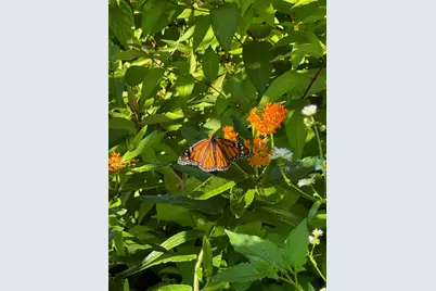 6204 39th Avenue N, Crystal, MN 55422 - Photo 47