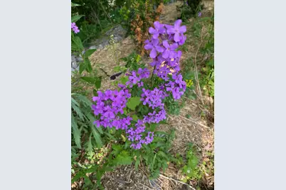 6204 39th Avenue N, Crystal, MN 55422 - Photo 49