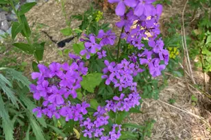 6204 39th Ave N, Crystal, MN 55422 - Photo 49