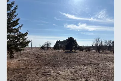 Tbd Cty 9, Pelican Rapids, MN 56572 - Photo 3