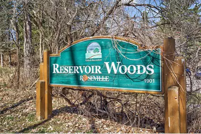 635 Shryer Avenue W, Roseville, MN 55113 - Photo 59