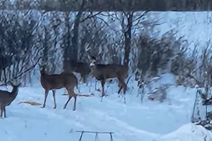 38321 Baugh St NW, Princeton, MN 55371 - Photo 69