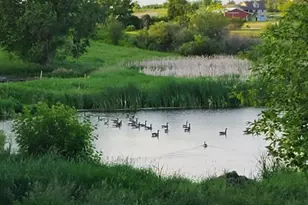 38321 Baugh St NW, Princeton, MN 55371 - Photo 67