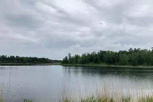 9A Hines Road NE, Hines, MN 56647 - Photo 1