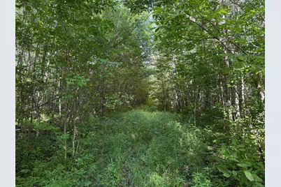 40A Bridgie Road, Northome, MN 56661 - Photo 1