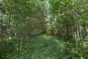 40A Bridgie Rd, Northome, MN 56661 - Photo 1