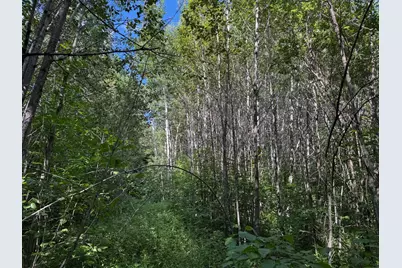 40A Bridgie Road, Northome, MN 56661 - Photo 7