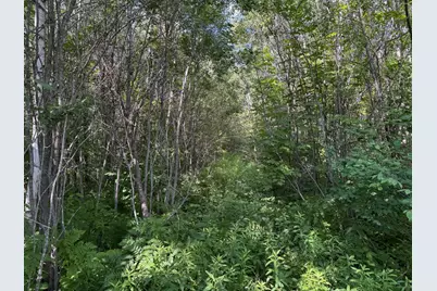 40A Bridgie Road, Northome, MN 56661 - Photo 5