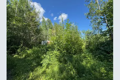 40A Bridgie Road, Northome, MN 56661 - Photo 3