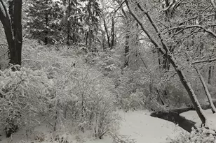 2497 County Rd 86 SE, Alexandria, MN 56308 - Photo 43