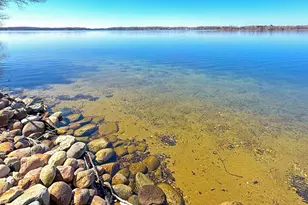 14252 74th St NW, Annandale, MN 55302 - Photo 5