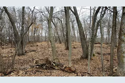 Tract C Linden Street, Garrison, MN 56450 - Photo 21