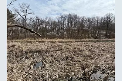 Tbd Basswood Drive, Sauk Centre Township, MN 56378 - Photo 15