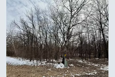 Tbd Basswood Drive, Sauk Centre Township, MN 56378 - Photo 3